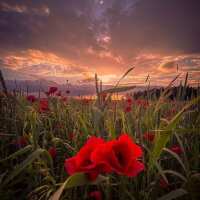 Lesen LED Bilder Bewertungen